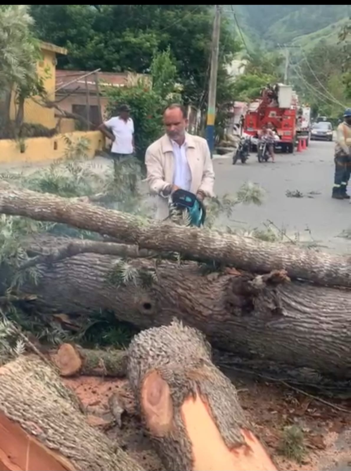 Operativo Poda de arboles zona escolar