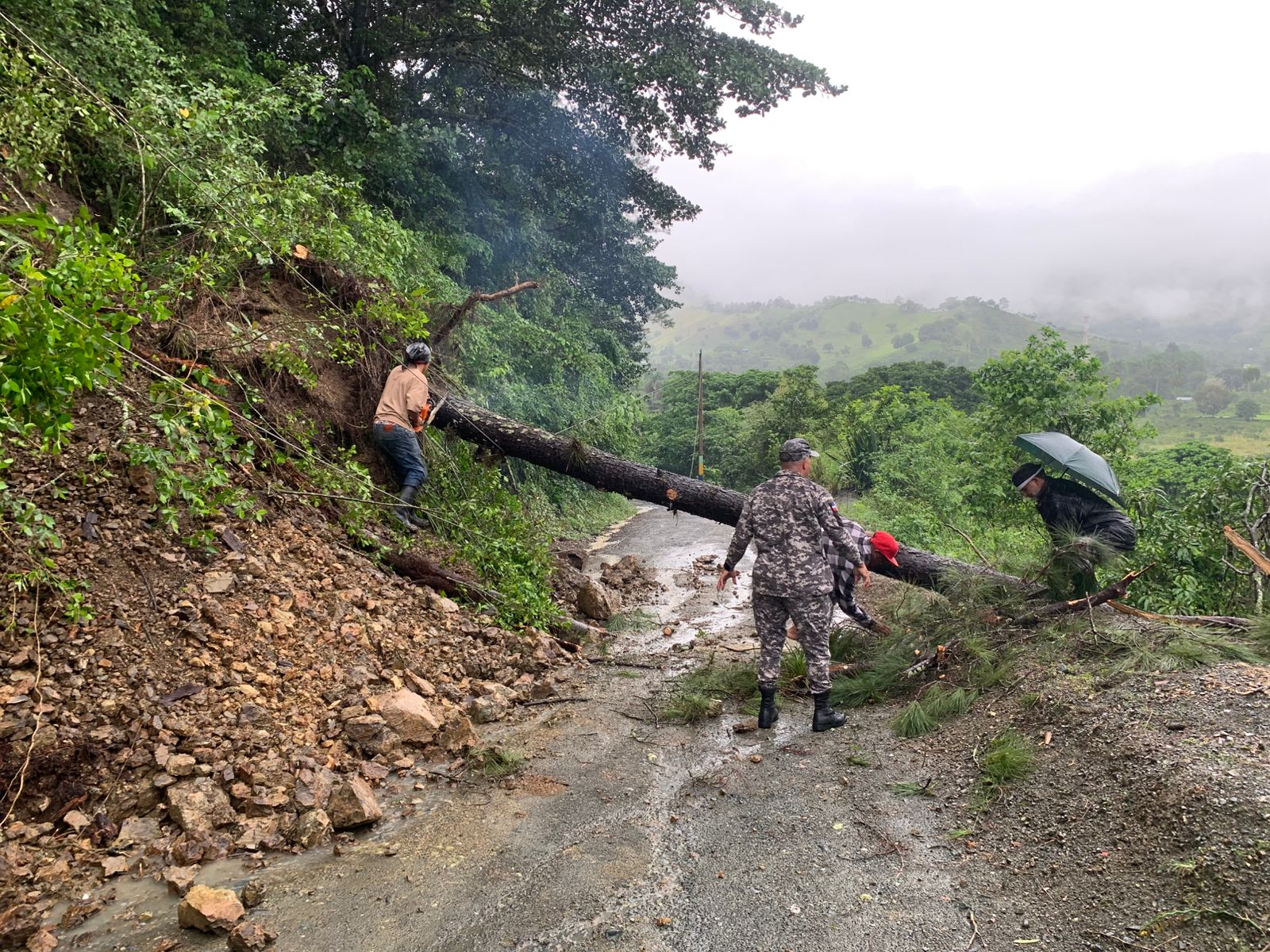 Fue normalizado el paso y el servicio eléctrico a la comunidad de las Auyamas después del derribo de árboles en la carretera